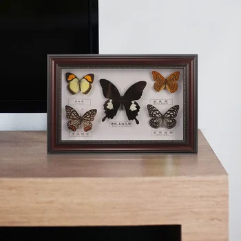 Фоторамка с образцом бабочки Рамка для показа образцов бабочек Рамка для фотографий с образцом бабочки для стены