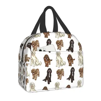 Коллекция Poodle Cross Изолированная сумка для ланча для женщин, водонепроницаемая сумка для ланча Labradoodle Sproodle с термоохлаждением, Офисная школьная сумка для ланча 0