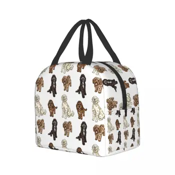 Коллекция Poodle Cross Изолированная сумка для ланча для женщин, водонепроницаемая сумка для ланча Labradoodle Sproodle с термоохлаждением, Офисная школьная сумка для ланча 1