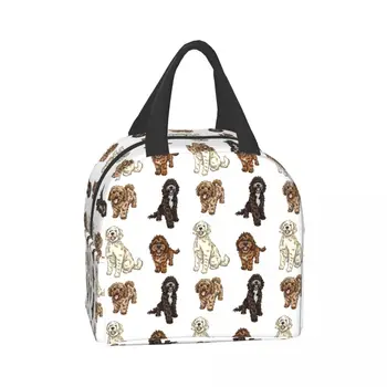 Коллекция Poodle Cross Изолированная сумка для ланча для женщин, водонепроницаемая сумка для ланча Labradoodle Sproodle с термоохлаждением, Офисная школьная сумка для ланча 2