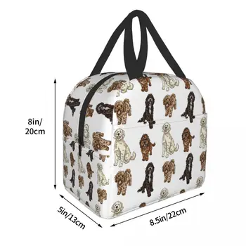 Коллекция Poodle Cross Изолированная сумка для ланча для женщин, водонепроницаемая сумка для ланча Labradoodle Sproodle с термоохлаждением, Офисная школьная сумка для ланча 3