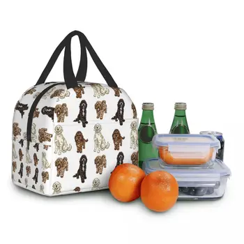 Коллекция Poodle Cross Изолированная сумка для ланча для женщин, водонепроницаемая сумка для ланча Labradoodle Sproodle с термоохлаждением, Офисная школьная сумка для ланча 5