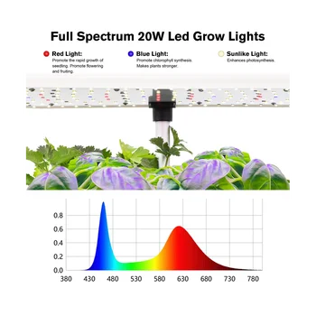 Система выращивания гидропоники, 12 стручков, комнатный сад с травами, сеялка со светодиодной подсветкой, Черная штепсельная вилка ЕС 1