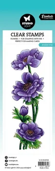Цветы с прозрачной печатью Anemone для фотоальбома 